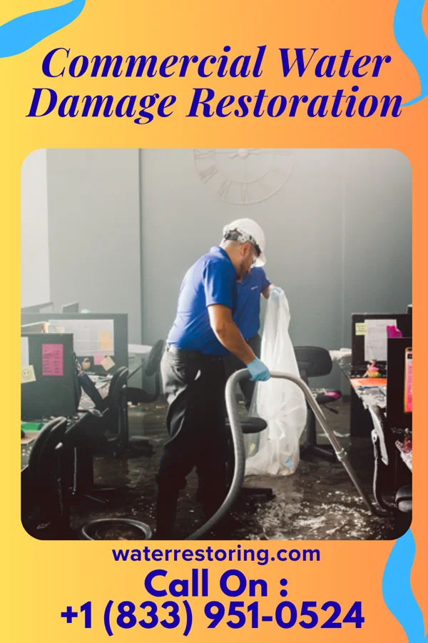 Commercial Water Damage Restoration in Sicily Island, LA